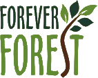 Forever Forest